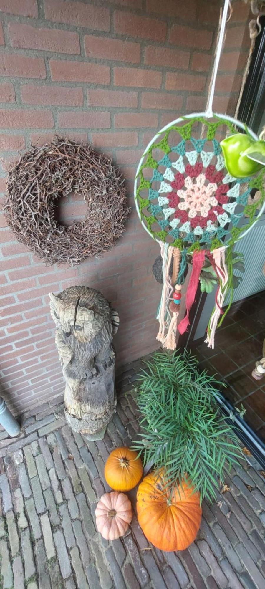 Bed En Breakfast Het Oelenest Hooghalen Luaran gambar